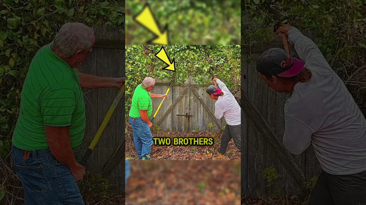 Two Brothers Bought Cheap Land #story