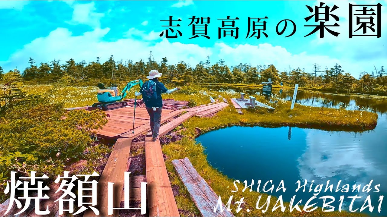 【焼額山】高層湿原とワタスゲ天国の信州百名山を登山【志賀高原】