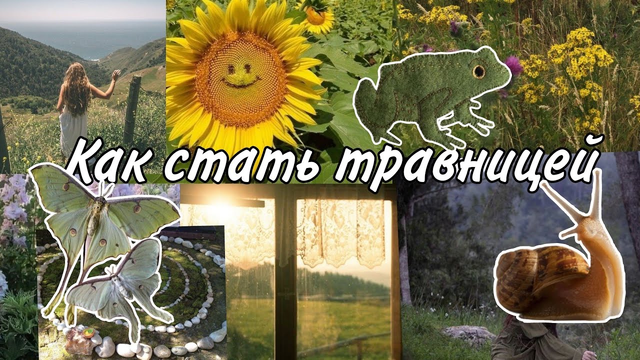 Что такое травничество/Как стать травницей.