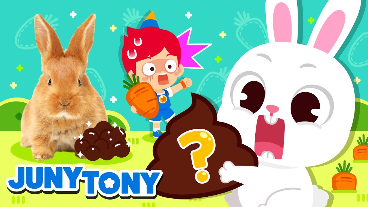 Coelhos Comem o Próprio Cocô? | Fatos Curiosos | Música Infantil | JunyTony em Português