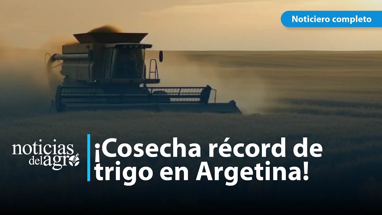Argentina logra cosecha récord de trigo