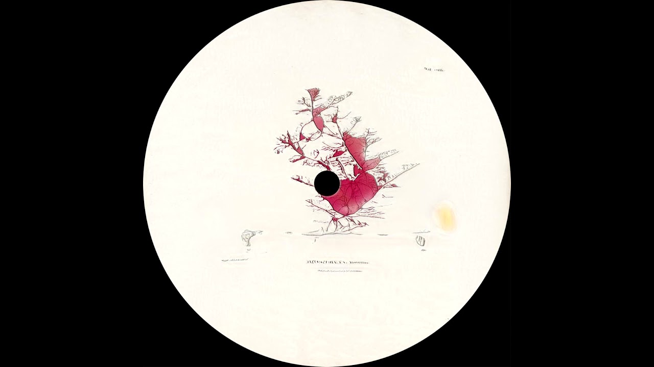 Georj & Marincu - Broken Banker (mtps Remix) [FQTRAX010]