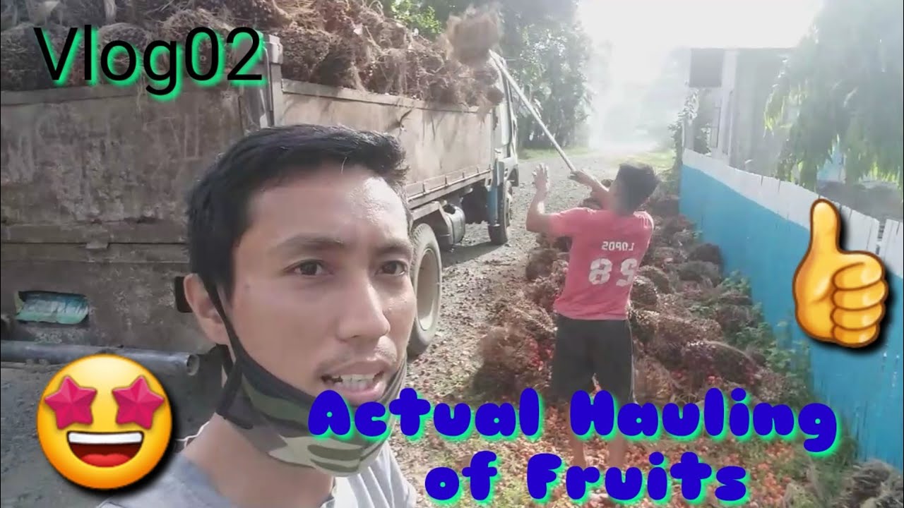🌴🌴OIL PALM PLANTATION IN BOHOL🌴🌴 PART 2 (Hauling and Milling)||Dong Dennis Vlog