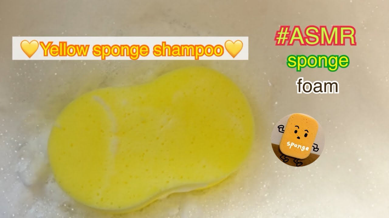 《ASMR》💛洗車用の黄色のスポンジをモコモコ泡🫧 Car wash sponge shampoo#asmr #foam #sponge#spongeshampoo#spongerinse 