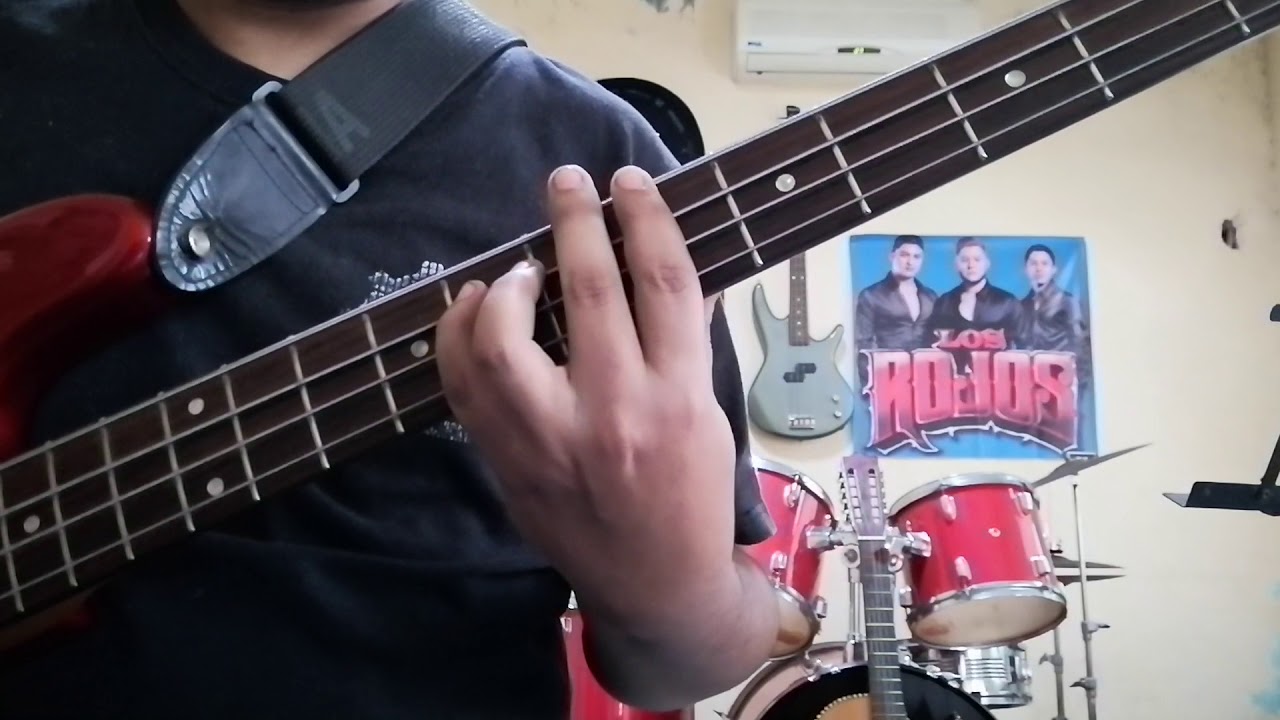 Prenda Querida - Los Cadetes de Linares Bass Cover línea basica
