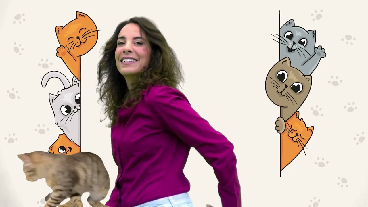 מה קרה לחתלתול? - מאיה בר שלום