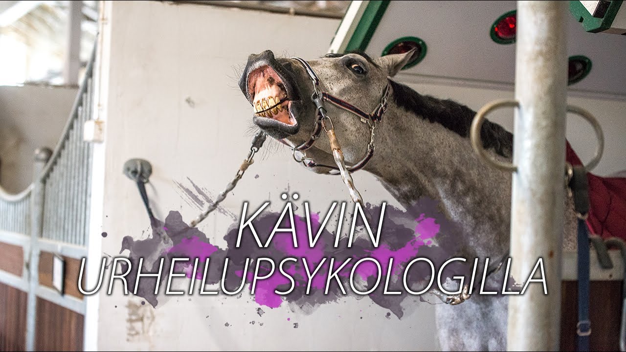 Kuuden ratsun tallipäivä 🐴