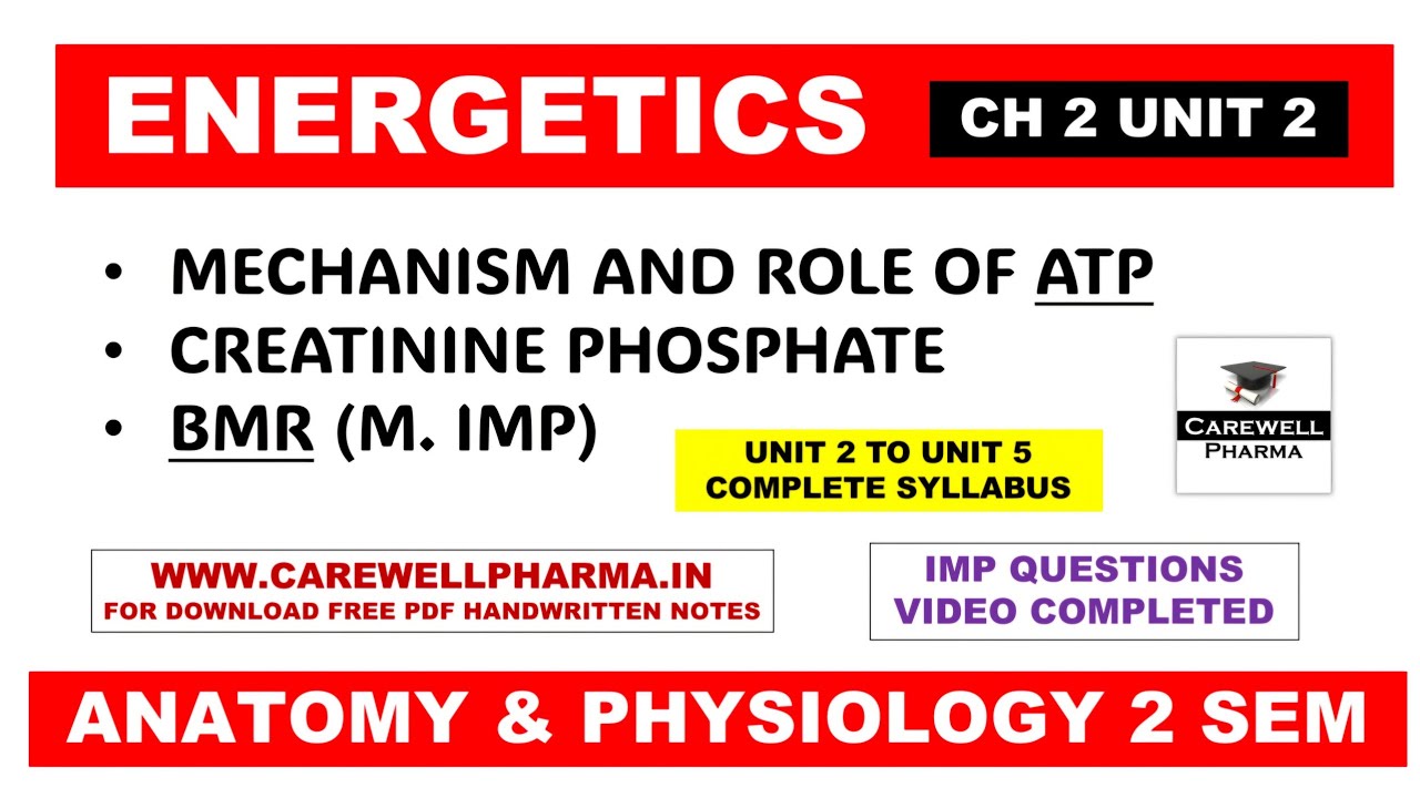 Unit 2 Energetic (complete) | ATP | BMR | Creatinine Phosphate | Ch 2 | Hap 2nd Semester | Carewell