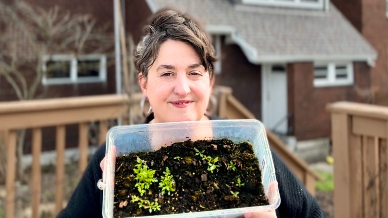 Я посадила сотни красивых цветов &mdash; какие из них пережили зиму?