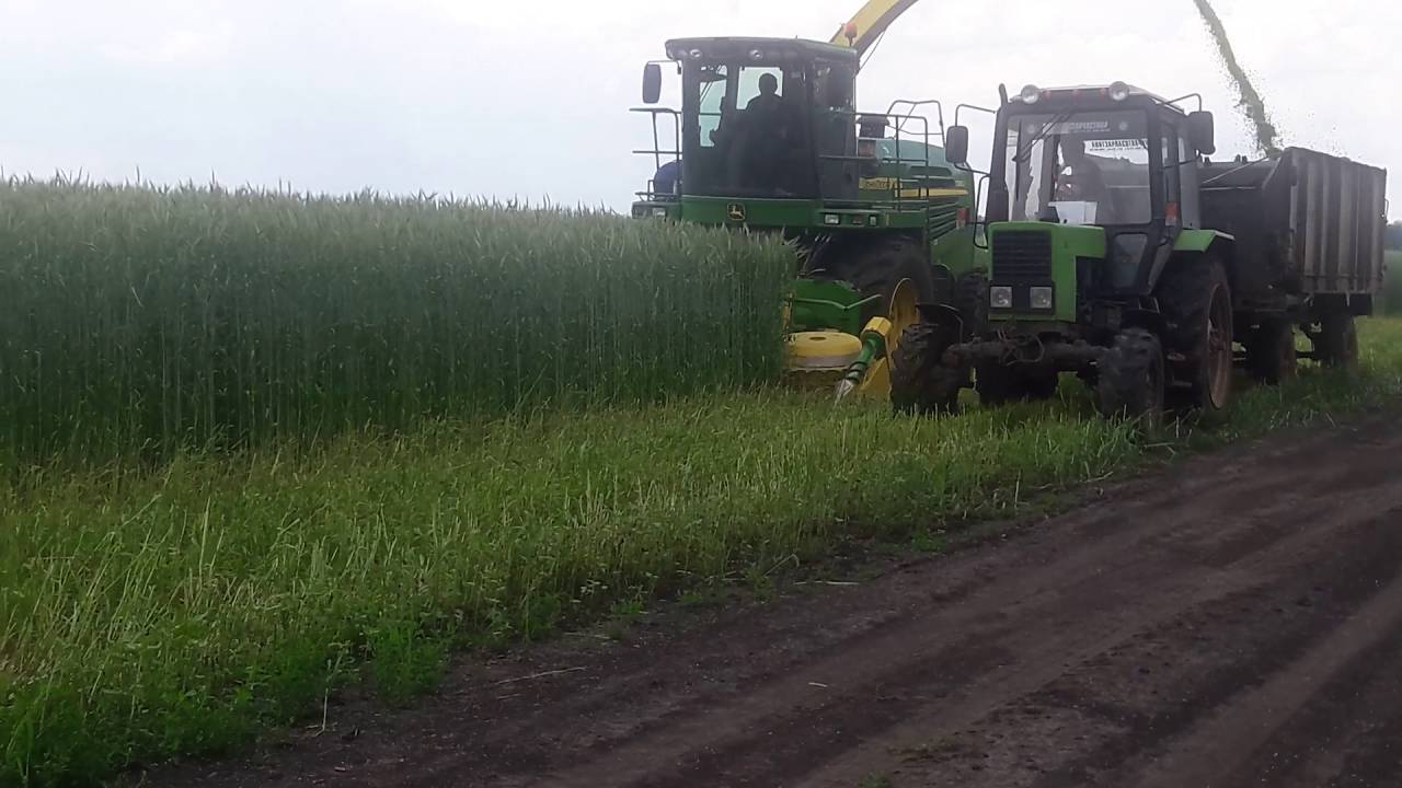 John Deere 7250   уборка  тритикале кукурузной жаткой