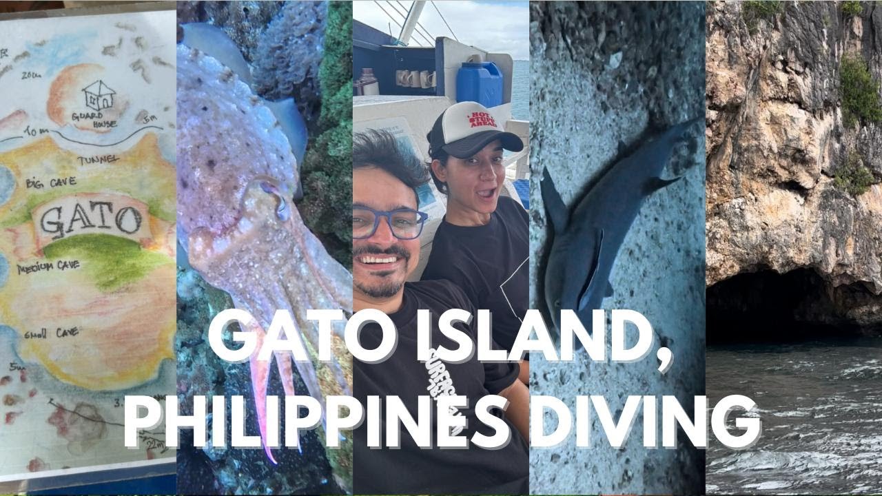 Scuba Diving at Gato Island, Malapascua Island I Philippines I Shark, Cuttle Fish, Octopus