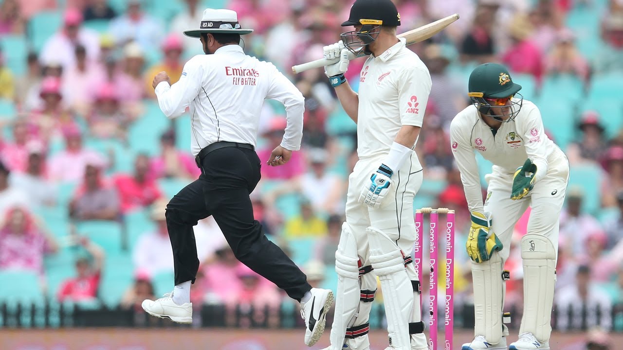 Aleem Dar's late sprint amuses players, commentators