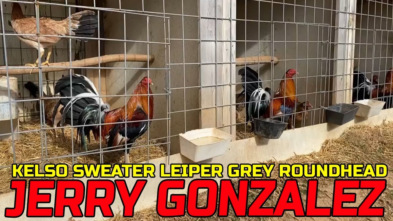 Jerry Gonzalez SAG FARMS - Big Farm in Arkansas