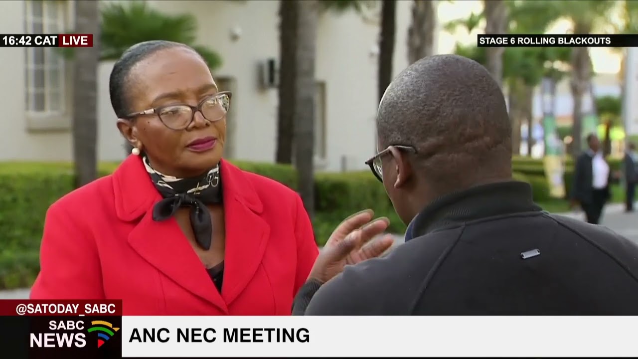 Namibian President Hage Geingob to contribute at ANC NEC meeting: Sophie Mokoena