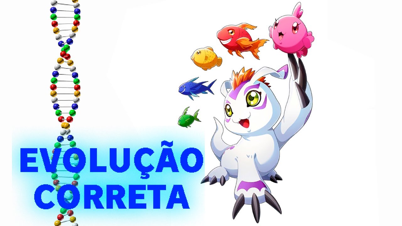 Gomamon - Evolução Correta