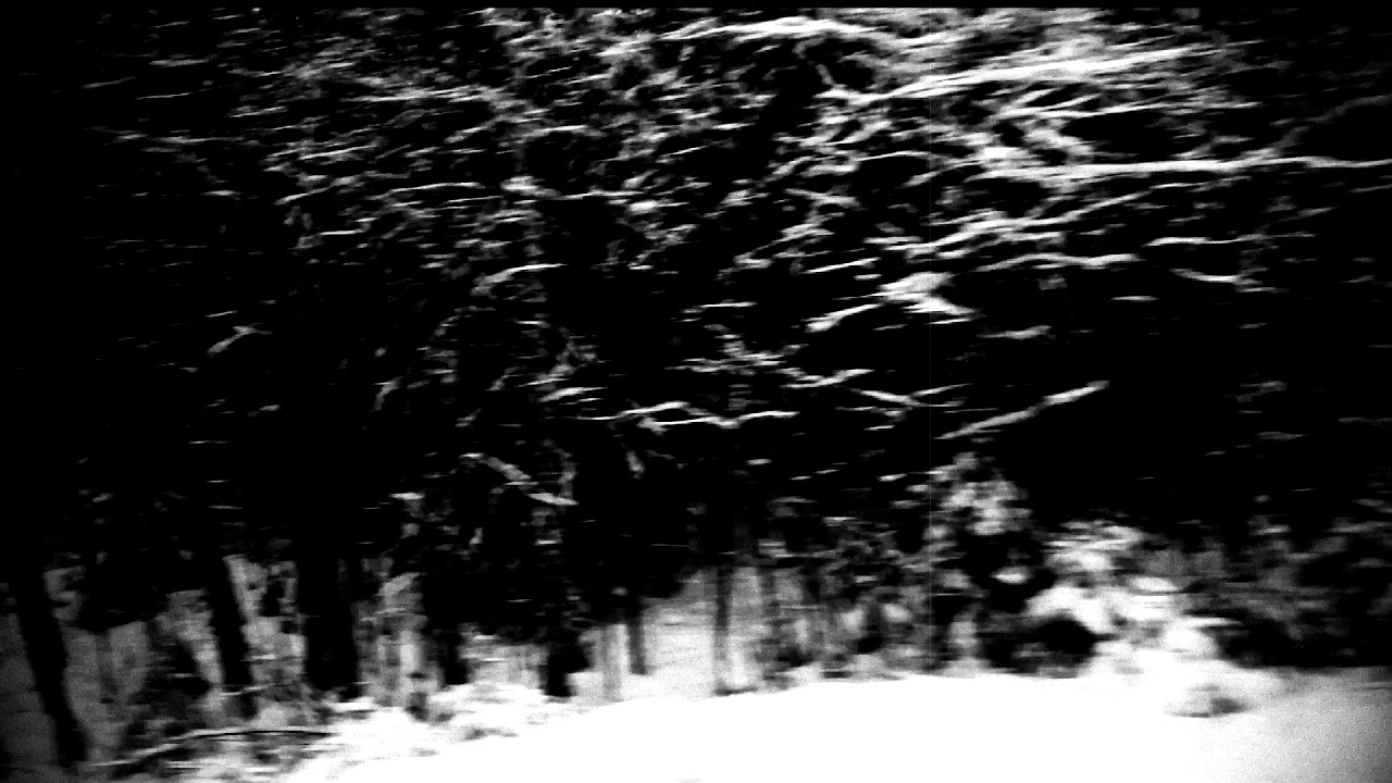 BOWSOCKS - hail