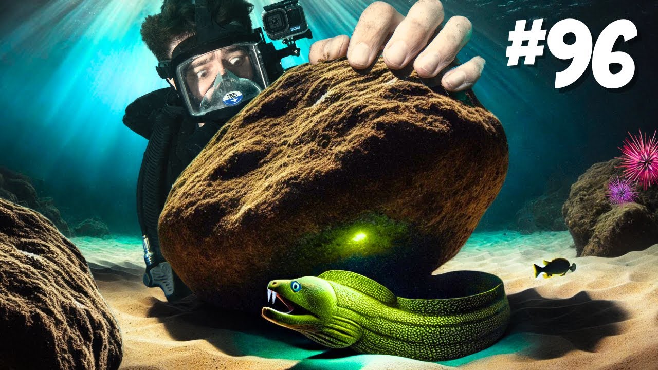 I Flipped 100 Rocks on the World's Deadliest Reef