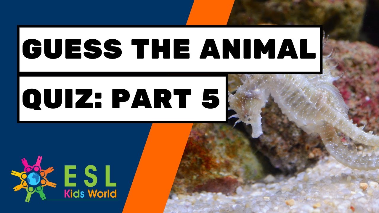 🦈Guess the Animal Quiz Part 5 | Animals Game for Kids