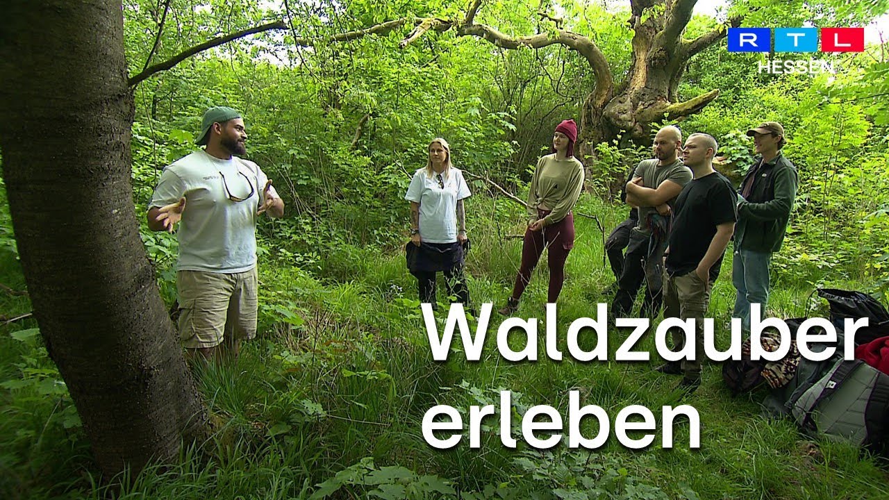 Waldbaden - Stress abbauen und neue Energie tanken