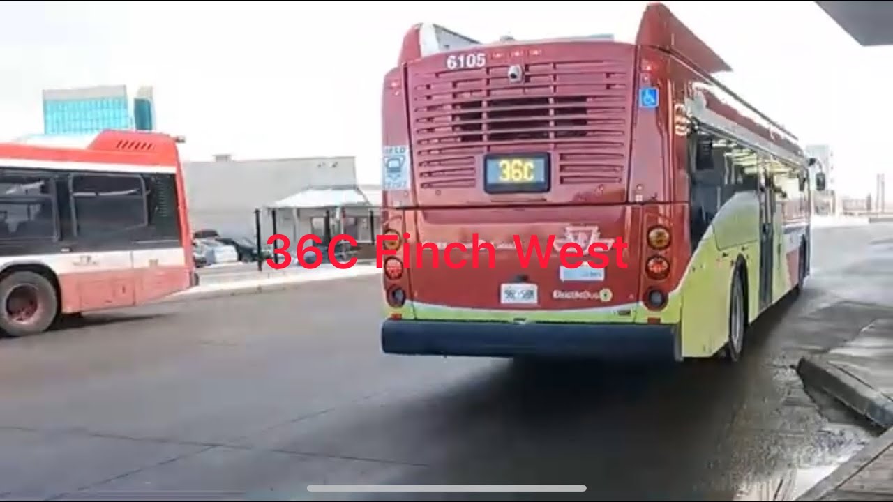 TTC 36C Finch West (Humber College Bus Term to Finch West Stn) TTC 2024 New Flyer XE40 6105