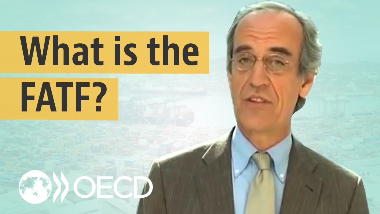 Money laundering and terror financing: What is the FATF? With Paul Vlaanderen