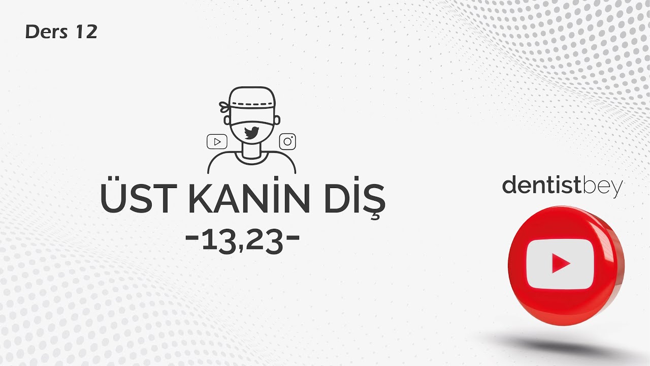 DERS-12 ÜST KANİN DİŞLERİN ÖZELLİKLERİ (ÜST KÖPEK DİŞ) (13-23 NUMARA)