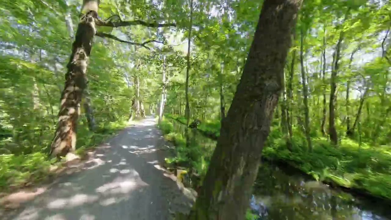 🚴&zwj;♂️ Fahrradtour von L&uuml;bbenau nach Leipe &ndash; Unterwegs im Spreewald 🌿🌊