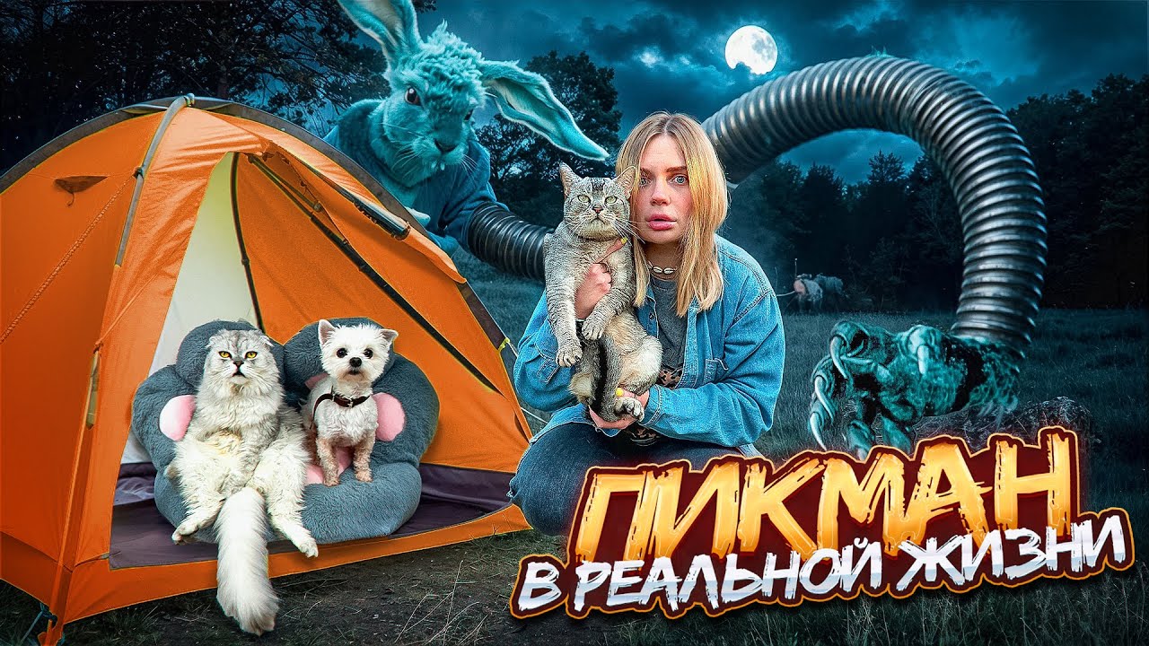 ПИКМЕН В РЕАЛЬНОЙ ЖИЗНИ | НОЧЬ В ПАЛАТКЕ С КОТАМИ