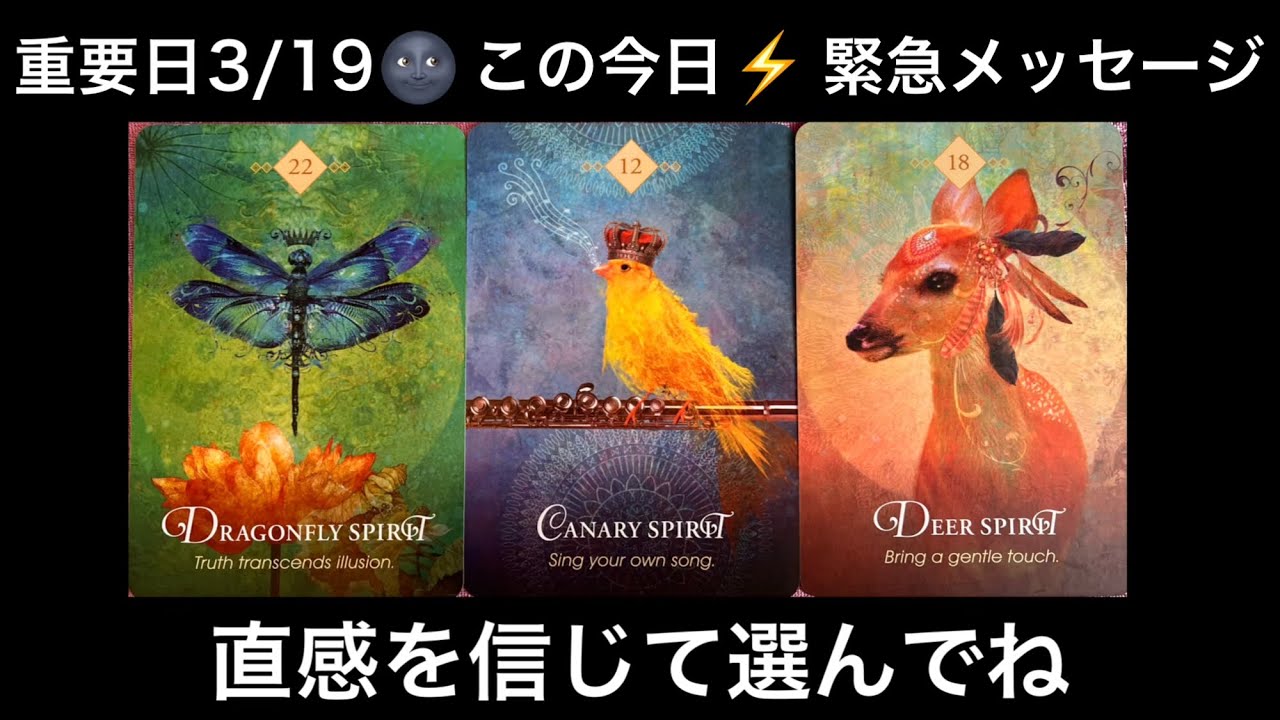 【重要日🌚3/19⚡️に見て❗️】この今日🌸あなたに急いで伝えたい🏇緊急メッセージ💌⭐️ガッツリ読み解きます