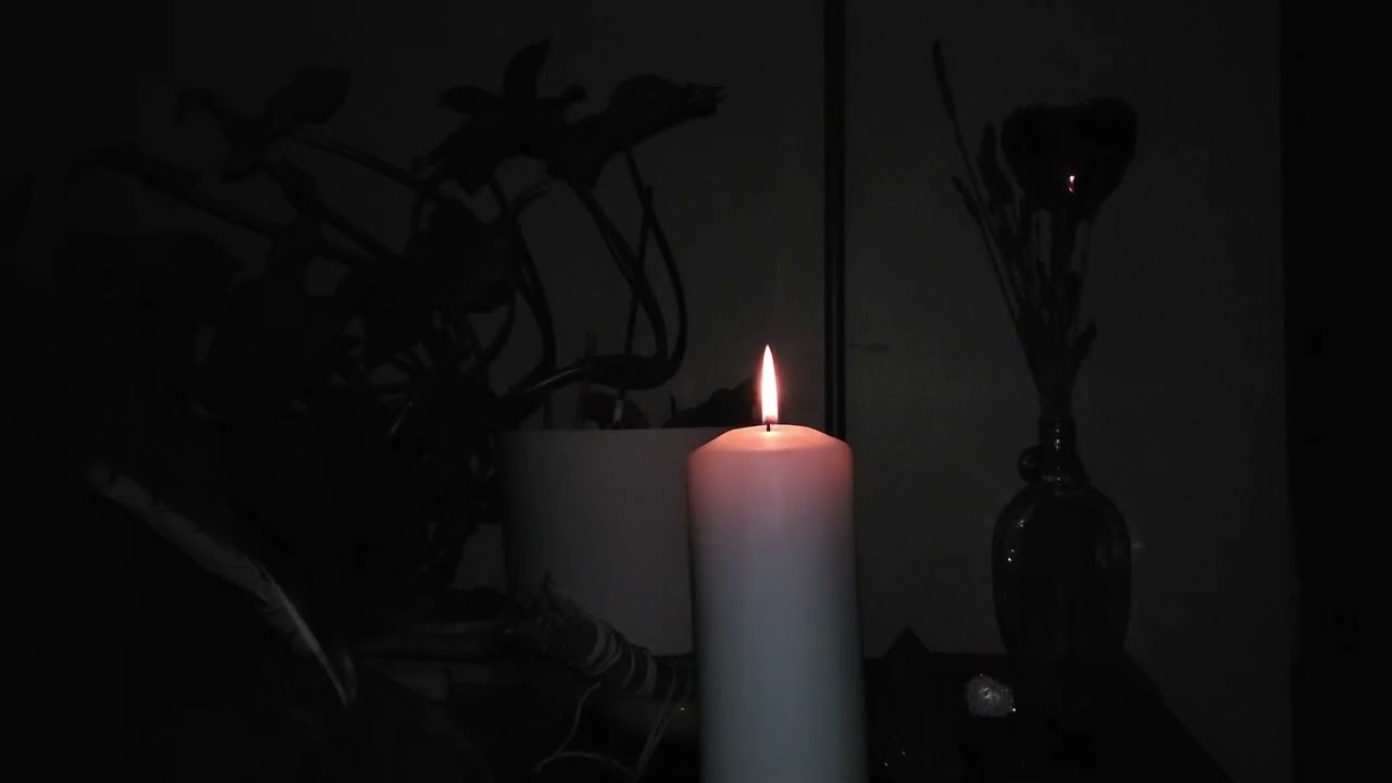 Rooted Presence | 285Hz
