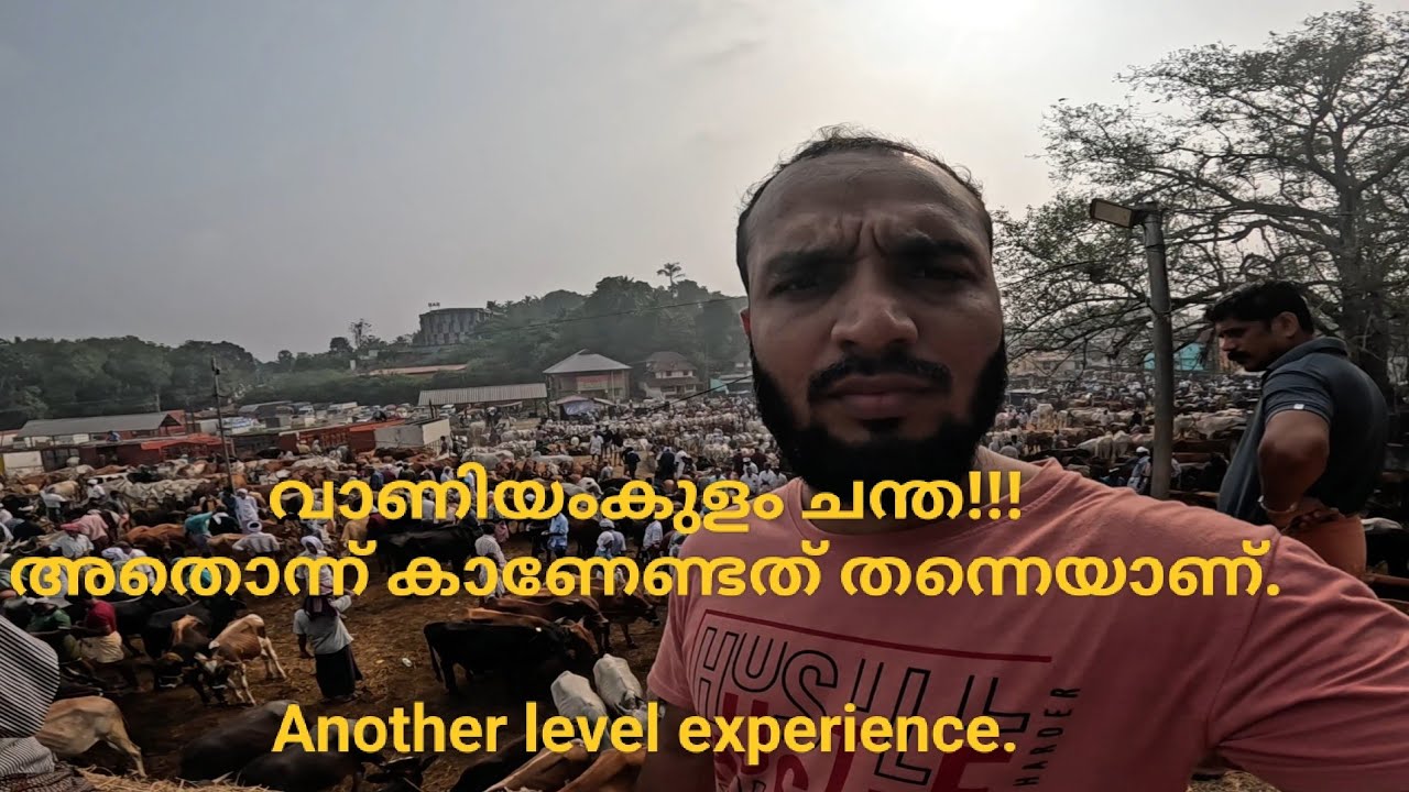 വാണിയംകുളം ചന്ത. Cattle Market 