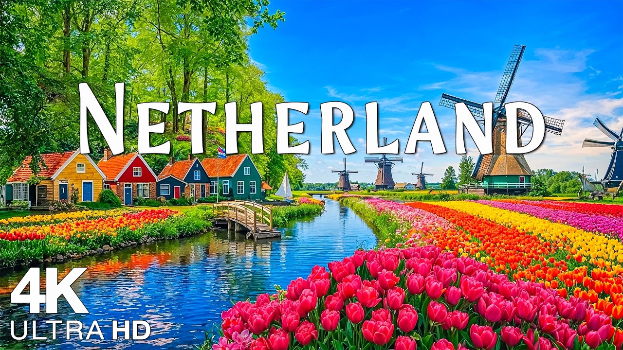 Netherlands 4K | Endless Tulip Fields of Keukenhof, Windmills of Kinderdijk & Golden Spring Sunsets