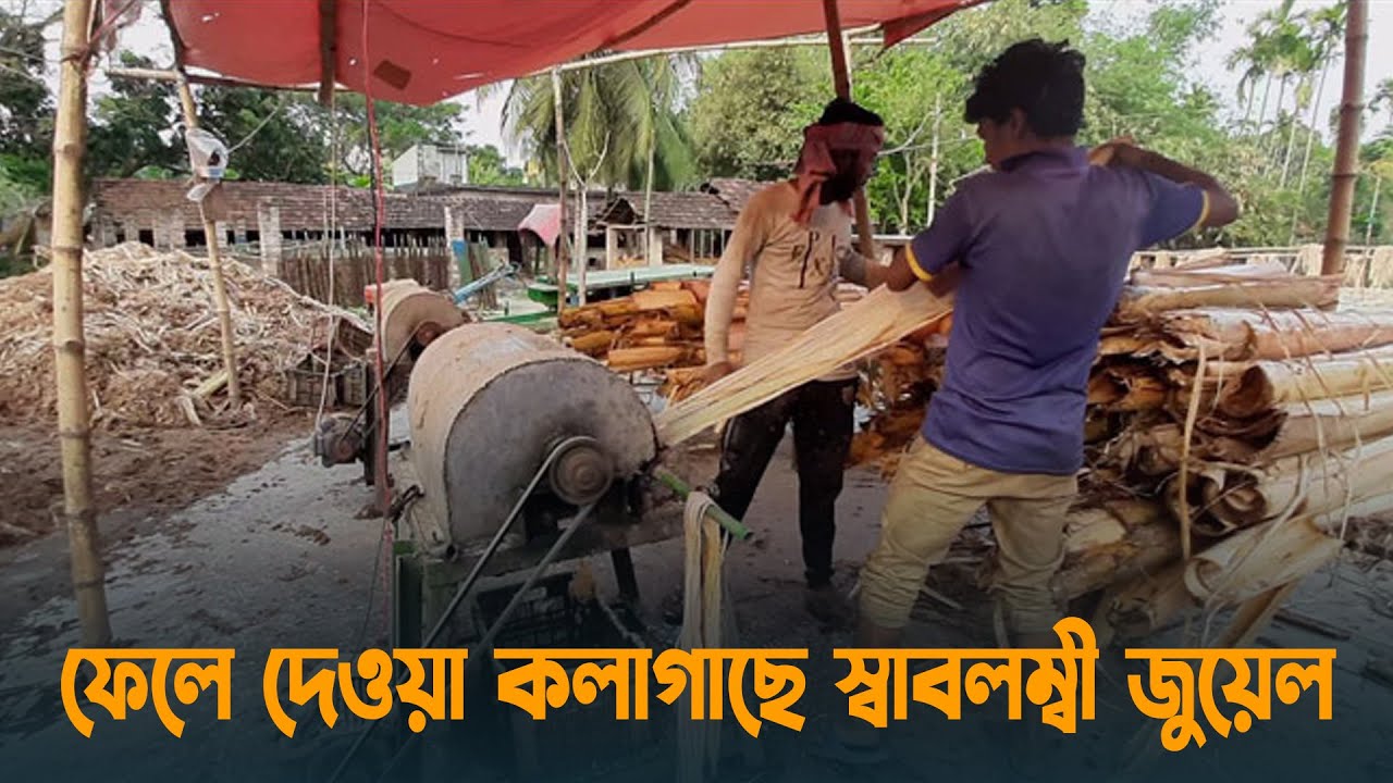 ফেলে দেওয়া কলাগাছে স্বাবলম্বী জুয়েল | Banana Fibre Factory | Banana Fiber Processing | Jessore
