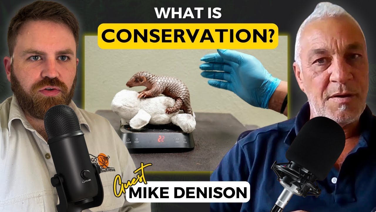 What is Conservation? The Truth About Saving Nature with WESSA's Mike Denison
