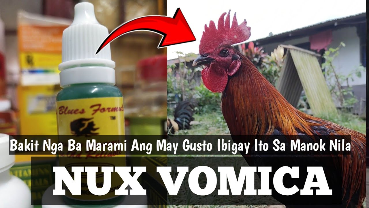 Nux Vomica | Bakit Madalas Hanap Nang Karamihan Ito | Ito Pala Ang Dahilan | Linyada ng Mamay