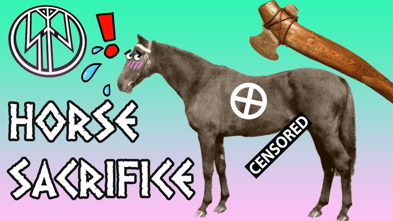 Indo-European horse sacrifice was...WEIRD
