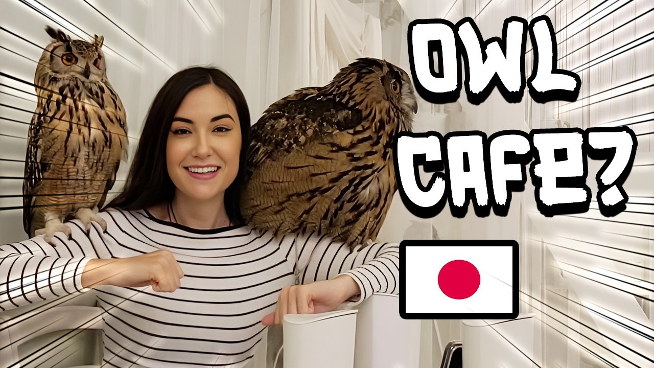 Visiting The Best Owl Cafe in Tokyo | Sasha Grey