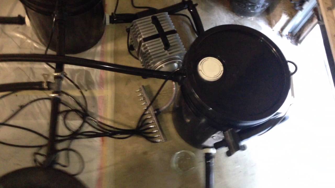 RDWC first run!