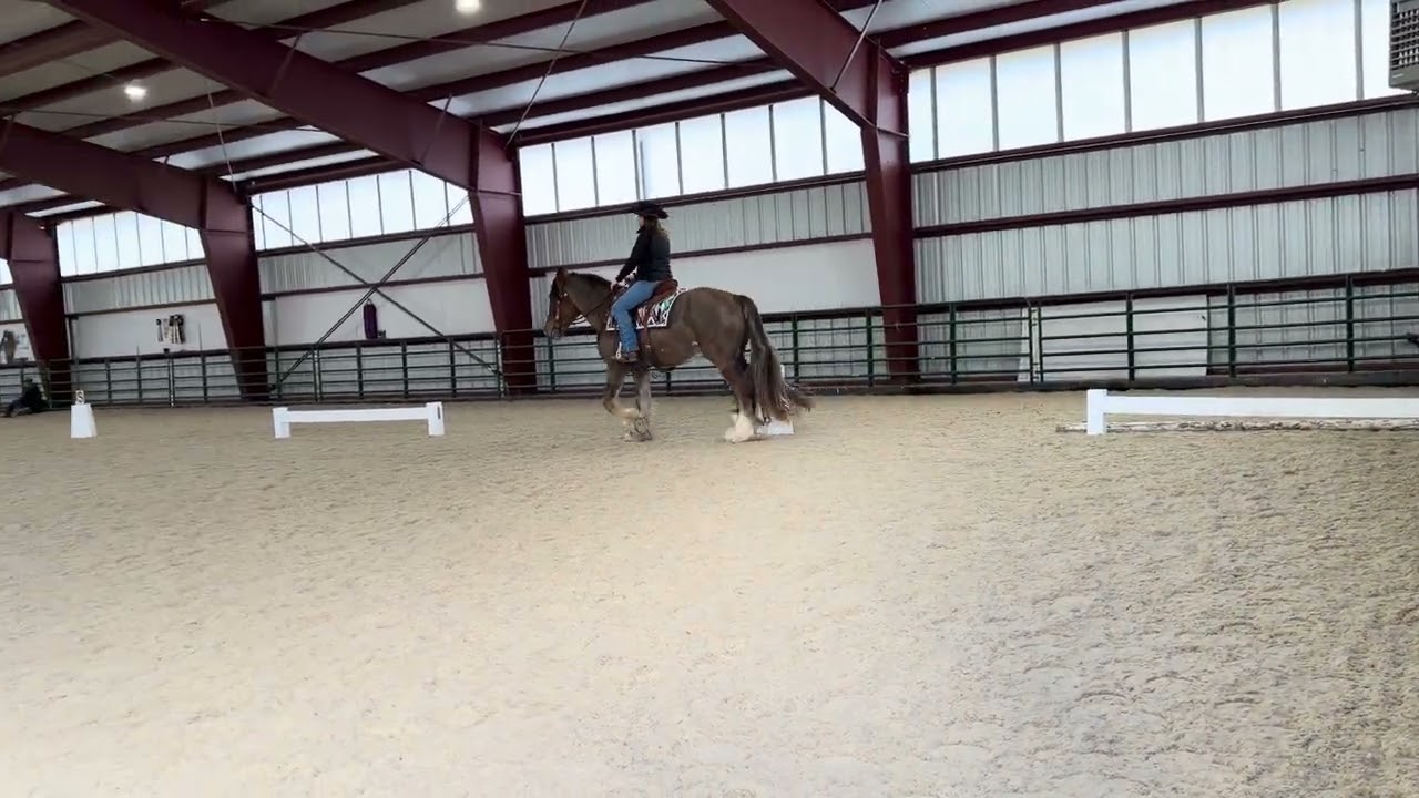 WDAAZ Heart My Horse Winter Show #6447 GRH Red Teddy Tierra Osborne 