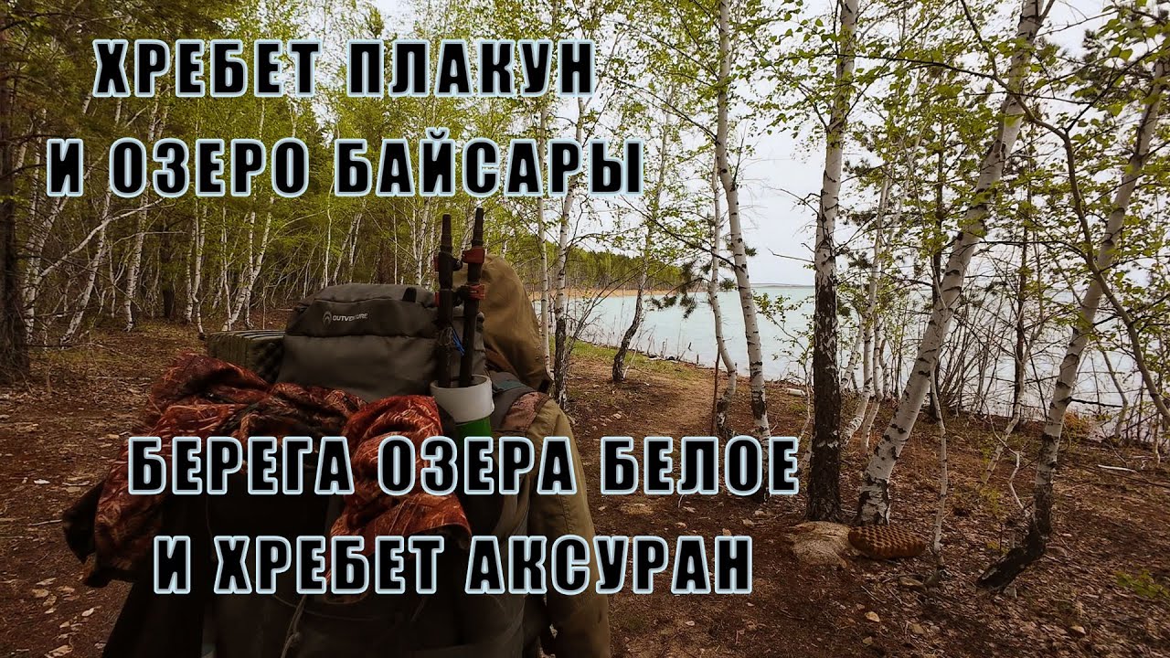 Берега озер Белое и Байсары | Хребты Плакун и Аксуран | Айыртауский район | Северный Казахстан