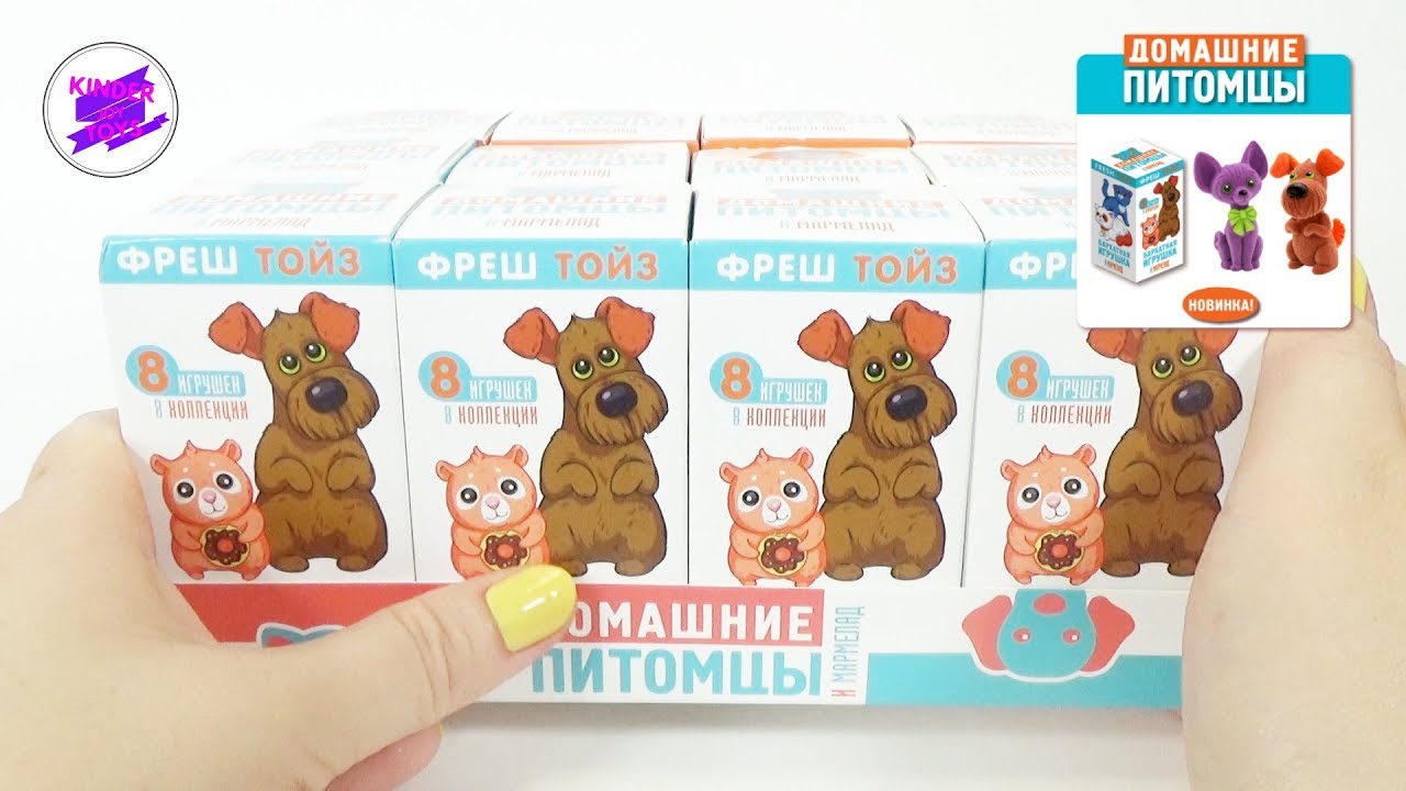 Домашние питомцы! Игрушки в коробочках со сладостями. Фреш Тойс.