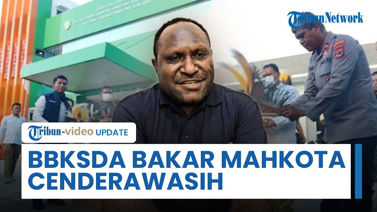 Viral di Medsos BBKSDA Bakar Mahkota Cenderawasih, Anggota Dewan: Melecehkan Martabat Orang Papua