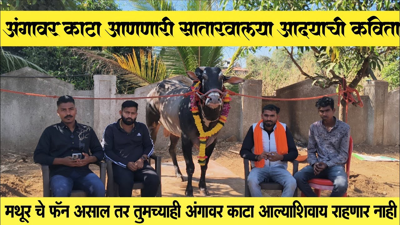 सातारवाला आद्या नी बनवली मथूर विशाल मोरे वर कविता..