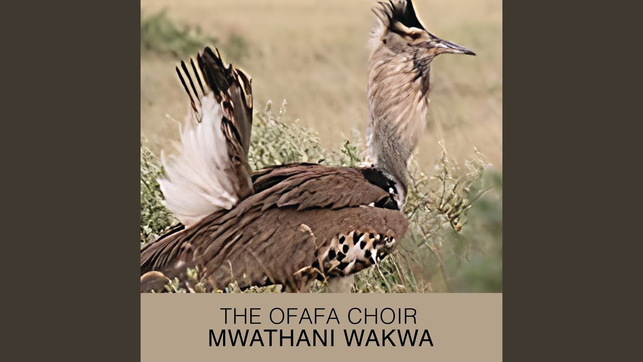 Uthamaki wa iguru