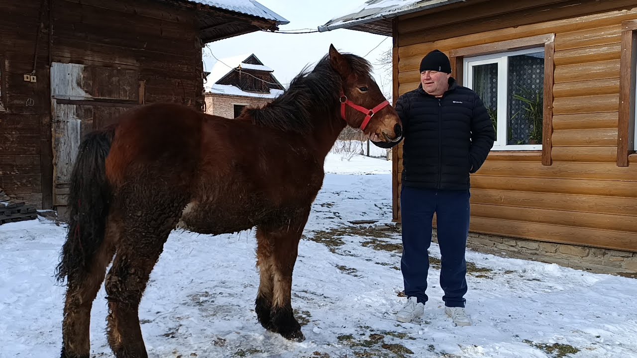 🔔ПРОВІДАЛИ МІРАЖА🚀МИКОЛА ГАРНИЙ ГОСПОДАР🔥🤝 КАНАТ НА ПРОДАЖ 💵☎️