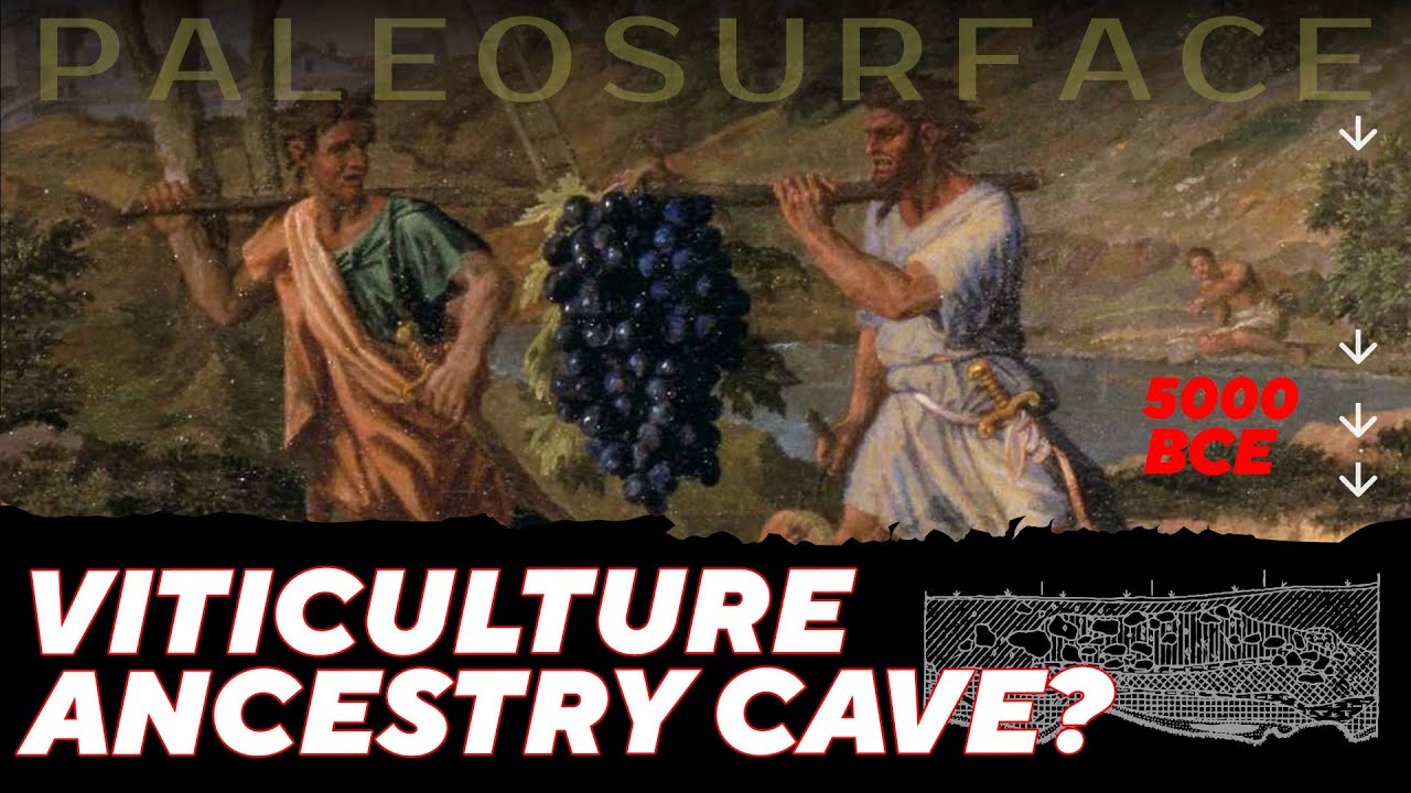 Viticulture Ancestry Cave. Documentary follows the Getahovin archaeological expedition