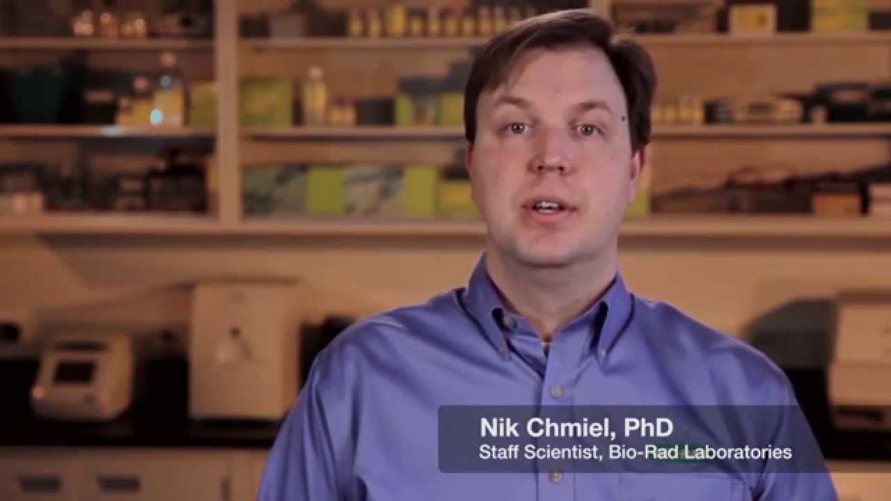Adjusting Probe Height - Bio-Plex&reg; 200 Multiplex Immunoassay System