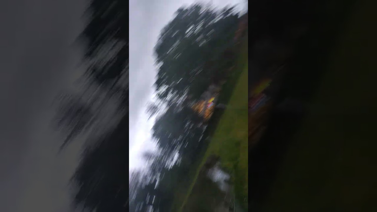 Dalhunden