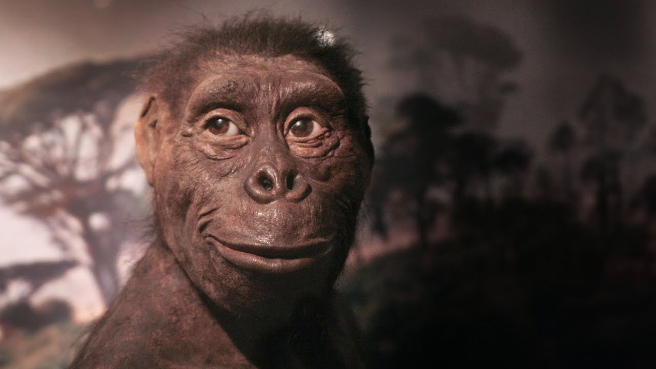 Skamieniałymi śladami człowieka: australopiteki, Katarzyna Kaszycka
