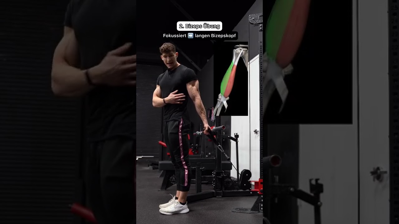 3 Bizeps &Uuml;bungen f&uuml;r garantiert dickere Arme 💪🏻
